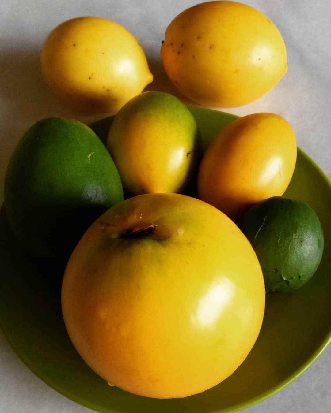 Abiu is a tropical fruit with a smooth, yellow skin and a creamy, sweet, vanilla-like flavor, often enjoyed fresh or in desserts.