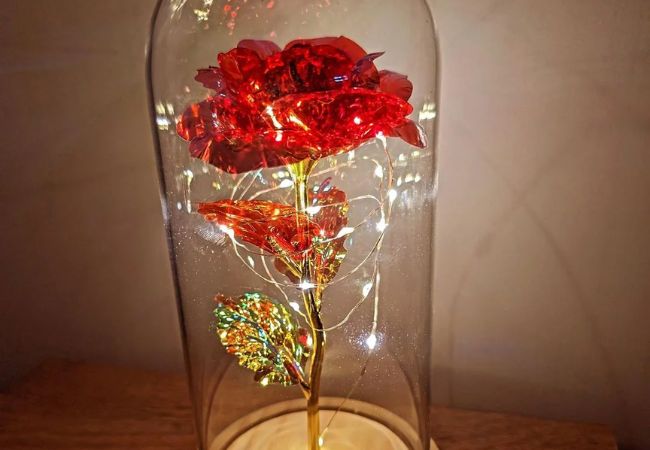 Disney 100 Flowers : Celebrating a Century with Enchanting Blooms