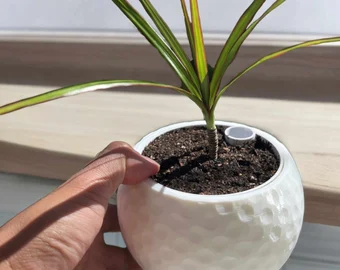 Individual presenting a golf ball planter pot containing a vibrant plant, highlighting a creative and stylish home decor element.
