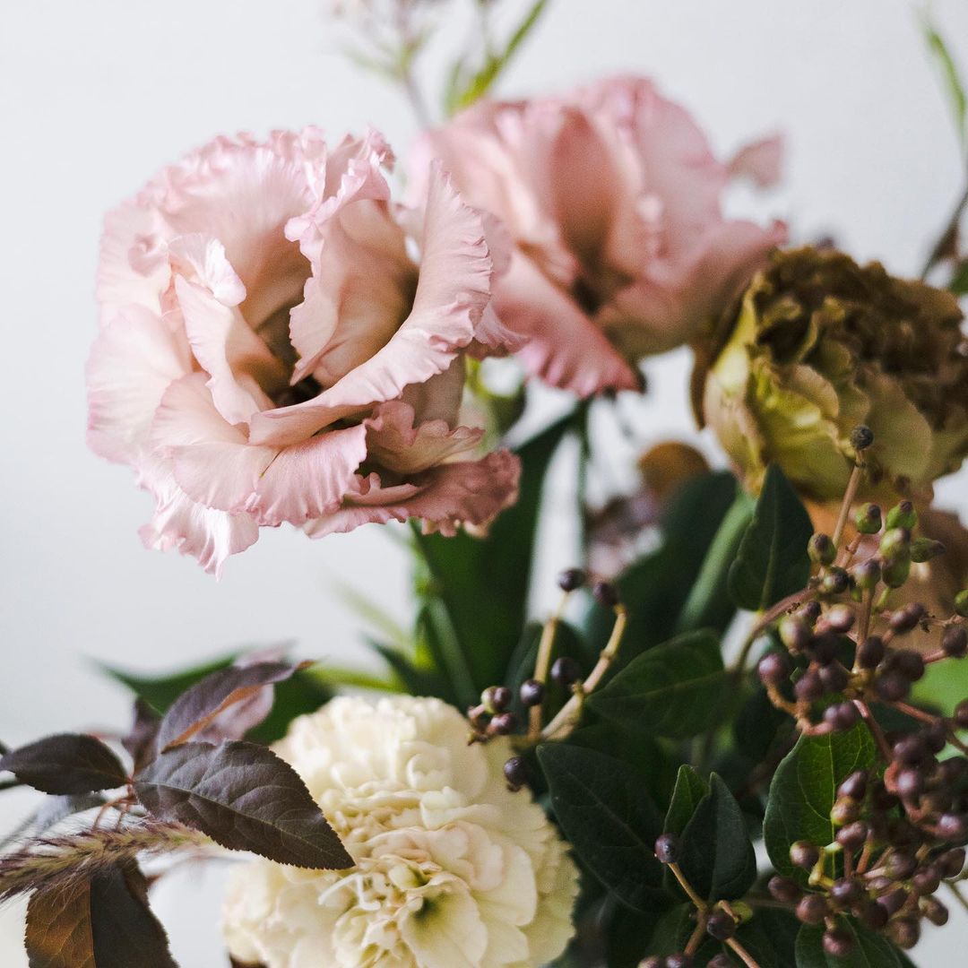 Japanese Anemones are graceful perennials with delicate, cup-shaped flowers and airy foliage, blooming in late summer to fall.
