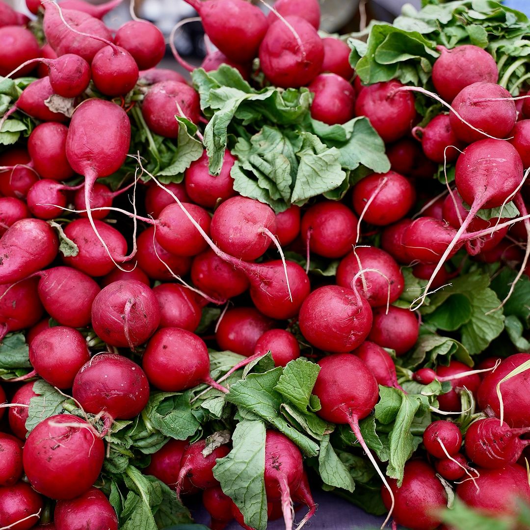 Radishes
