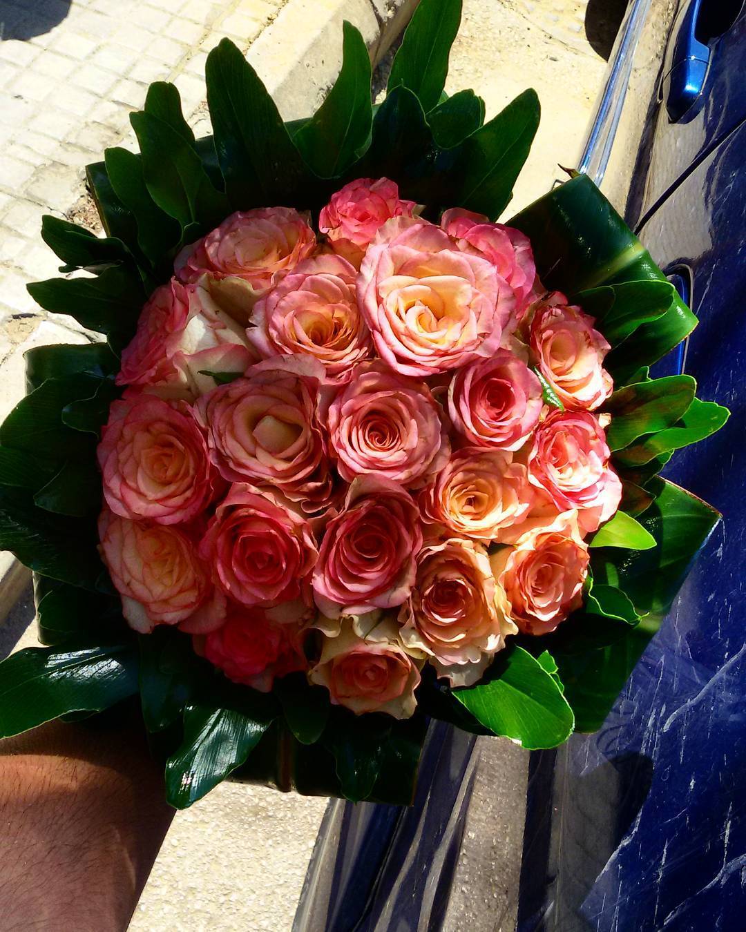 Roses are timeless, elegant flowers known for their beauty, fragrance, and variety, making them a popular choice for gardens and floral arrangements.