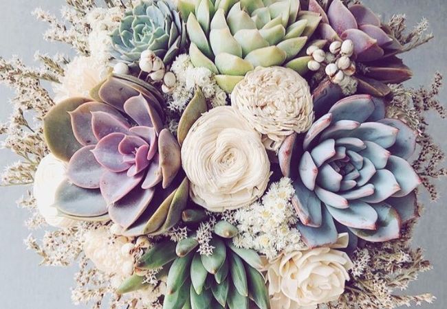 Succulent Bouquets: Everything You Need to Know