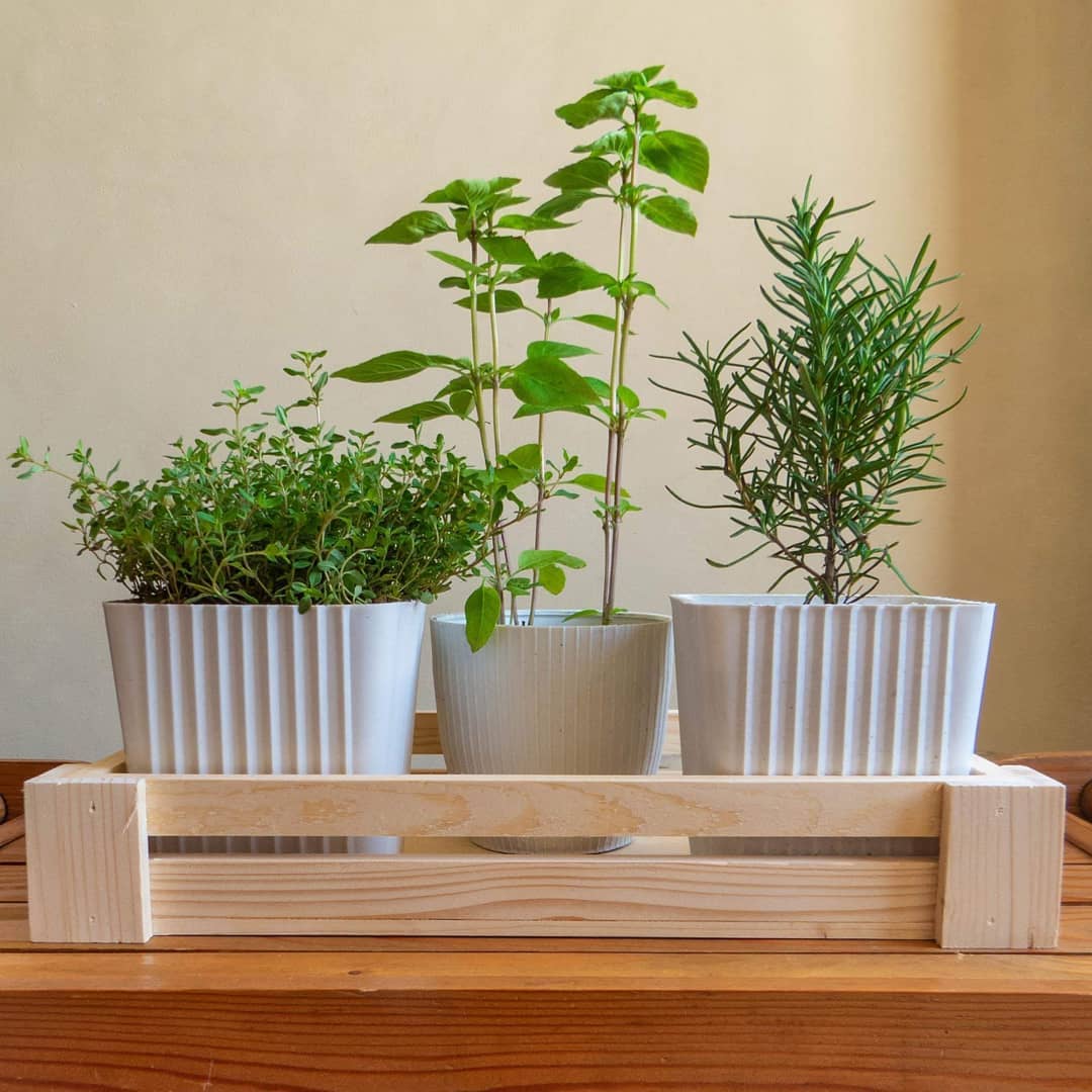 A wooden crate herb garden is a small garden setup where wooden crates are used as containers to grow a variety of herbs, ideal for compact spaces like patios or balconies.