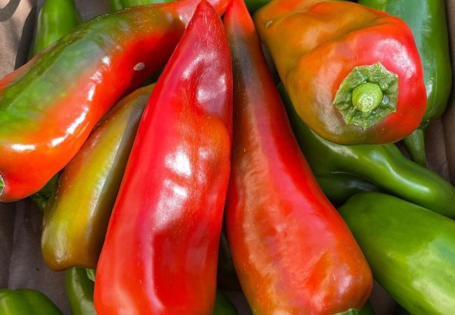 Marconi Peppers : A Complete Guide to Growing and Enjoying This Sweet Italian Variety (2024)