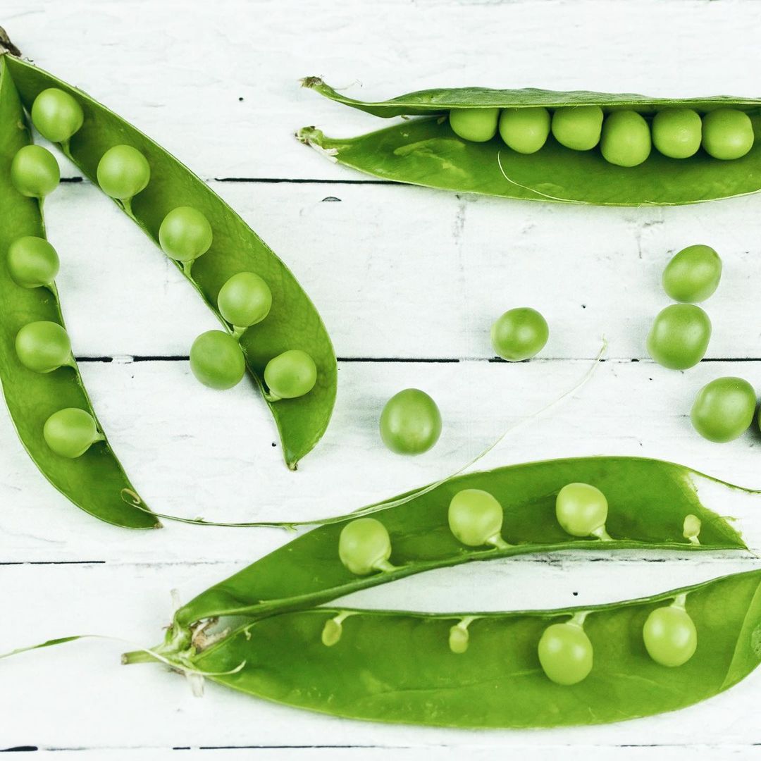 Fresh green peas in their pods arranged on a rustic white wooden table, showcasing their vibrant color and natural texture.
