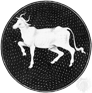 What specific aspect of Taurus are you interested in? It could be astrology, personality traits, compatibility, or something else!