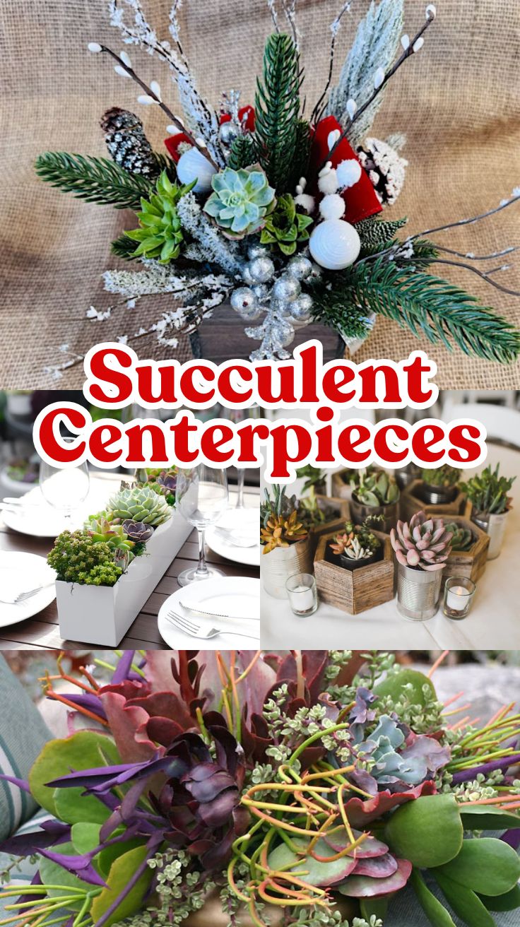 Succulent Centerpieces: Your Ultimate Guide to Creating Stunning Arrangements