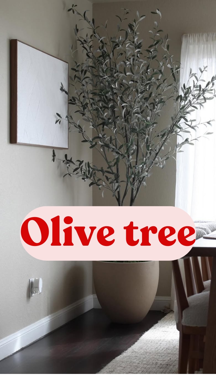 Olive Tree Flowers: A Complete Guide to Blooms, Seeds, and Growing Your Own Tree