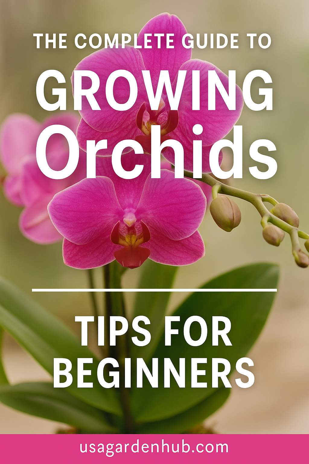 The Complete Guide to Growing Orchids