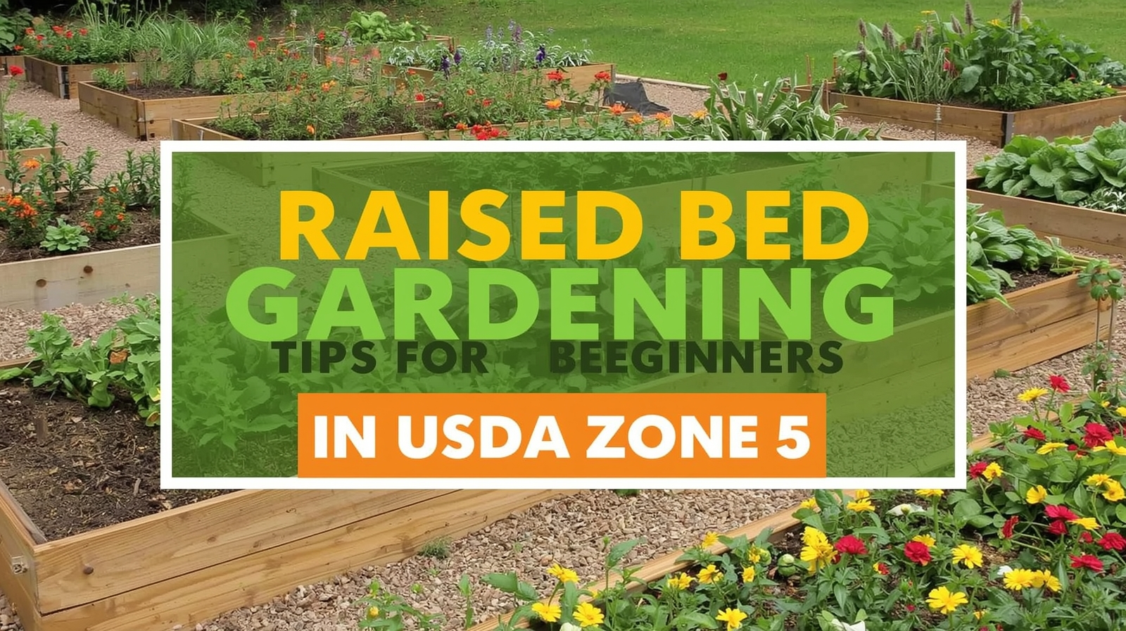 Best Raised Bed Gardening Tips for Beginners in USDA Zone 5