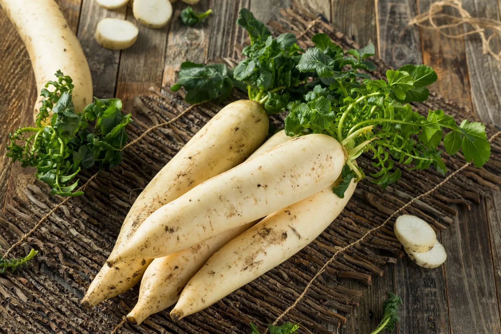 Daikon Radish