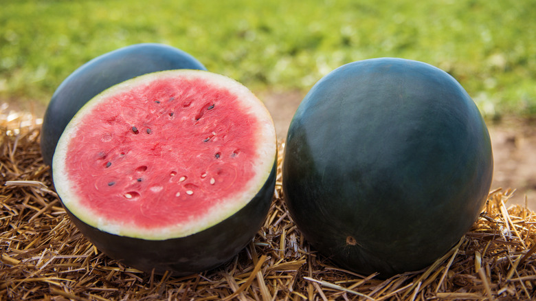 A rare Japanese black watermelon with jet-black rind and ruby-red flesh that