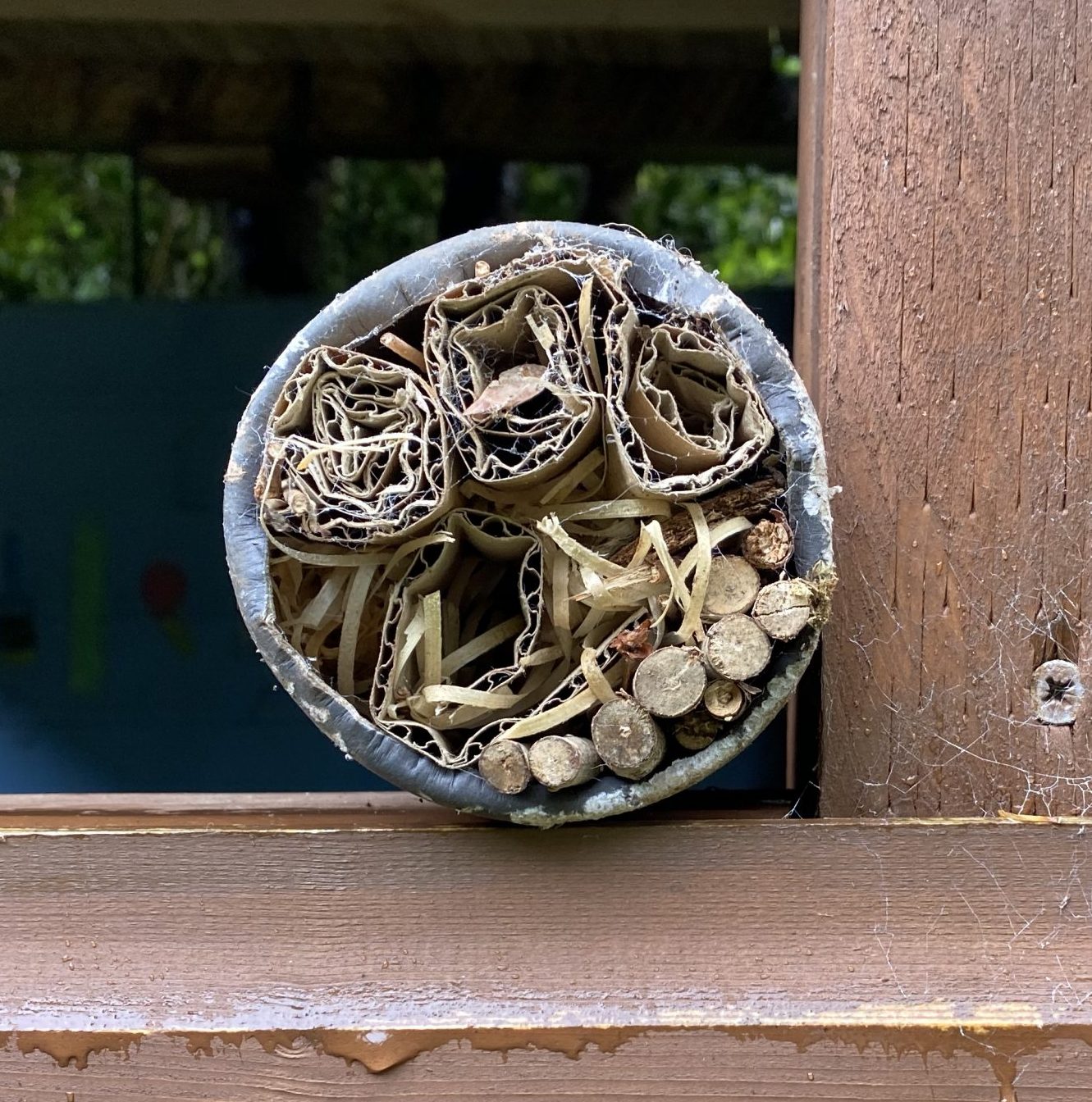 Bug Hotels