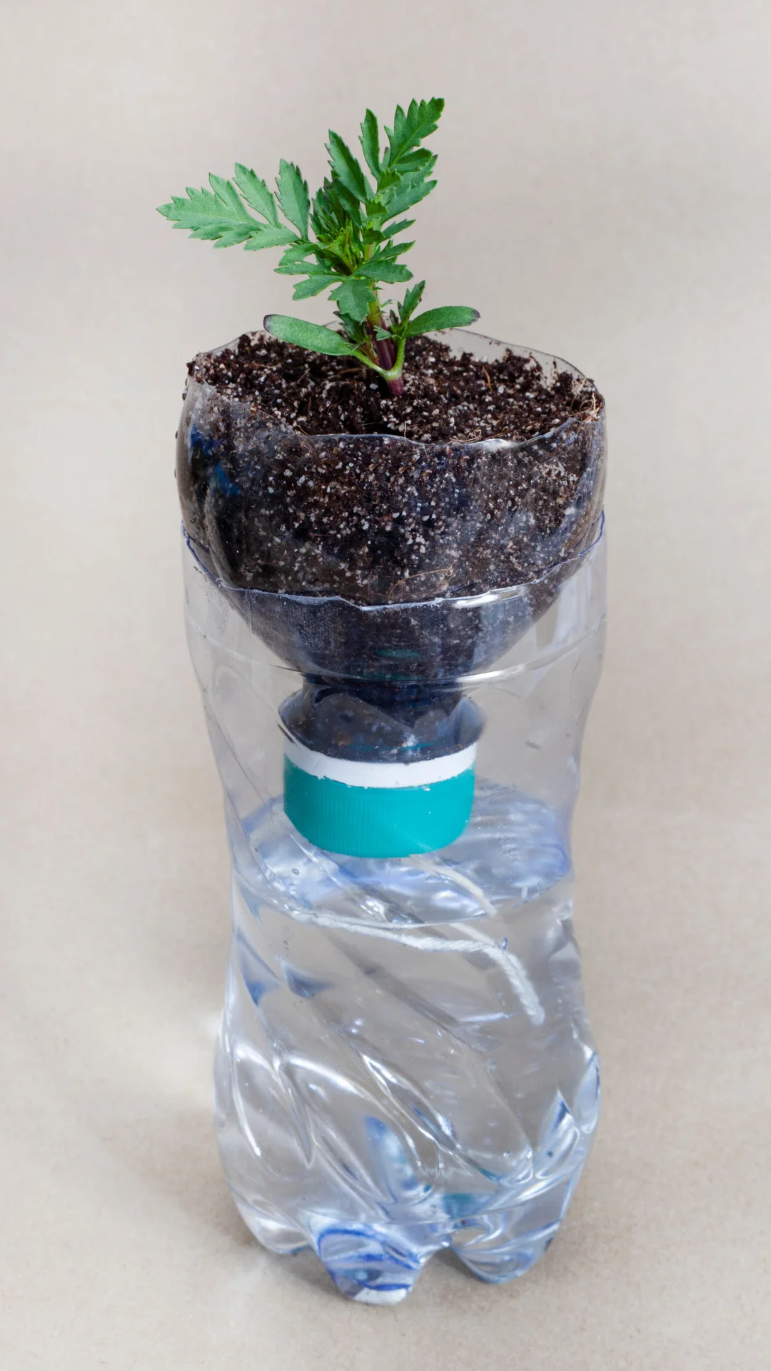 self watering planters bottle