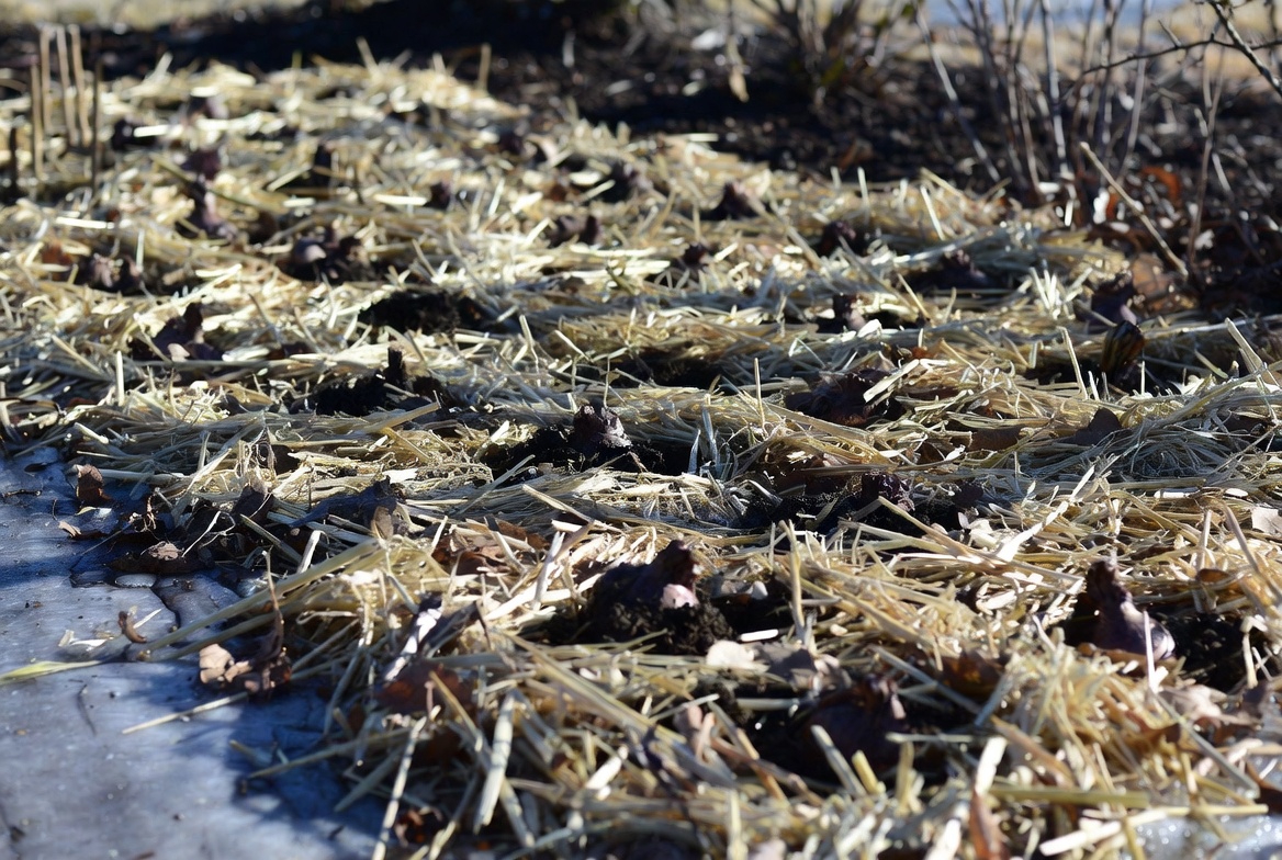 Ensure Excellent Drainage Year-Round