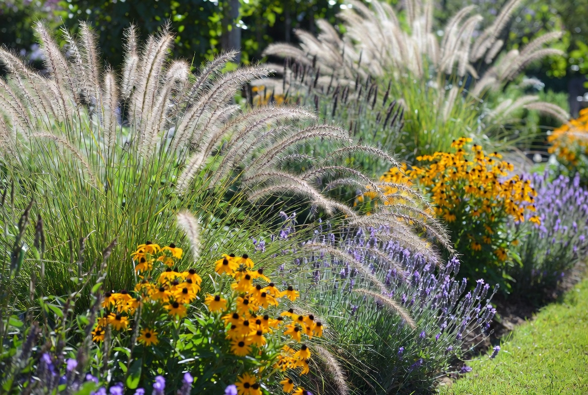 Add Texture to Beds and Borders