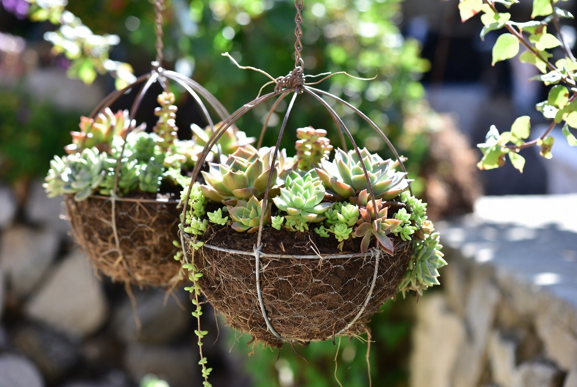 Basket Orbs Creative Ways to Display Plants in Baskets