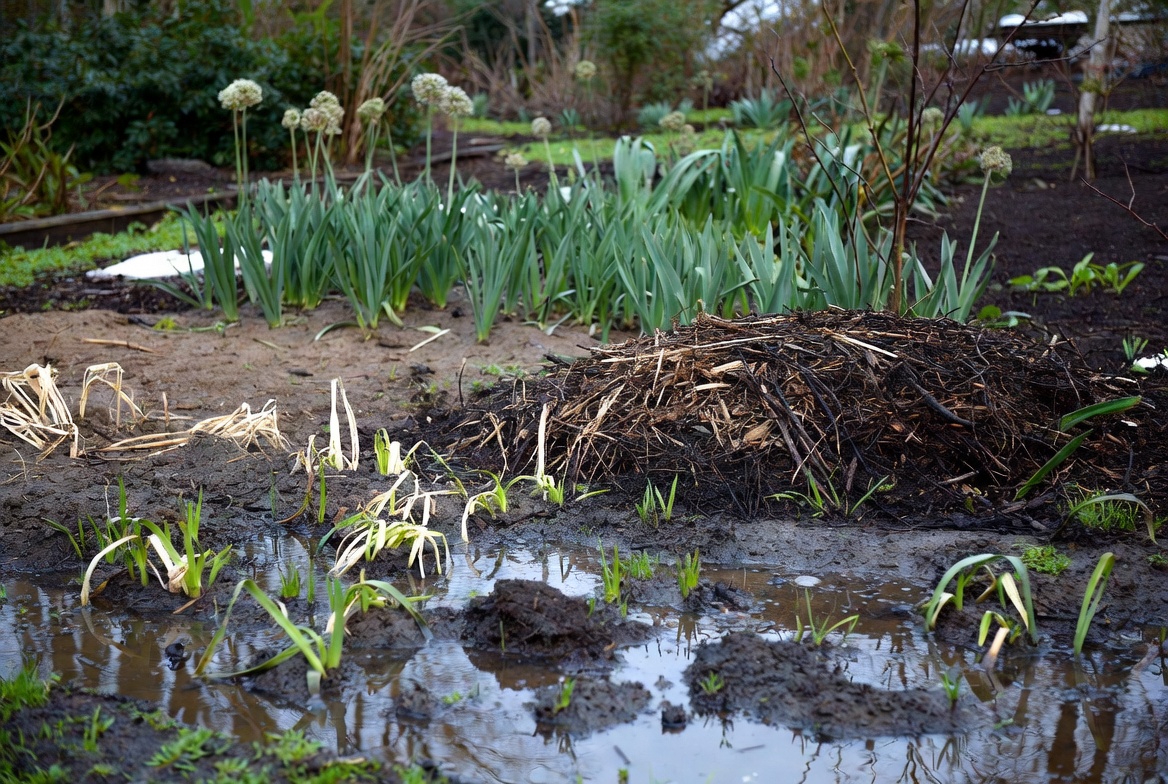 Common Mistakes to Avoid