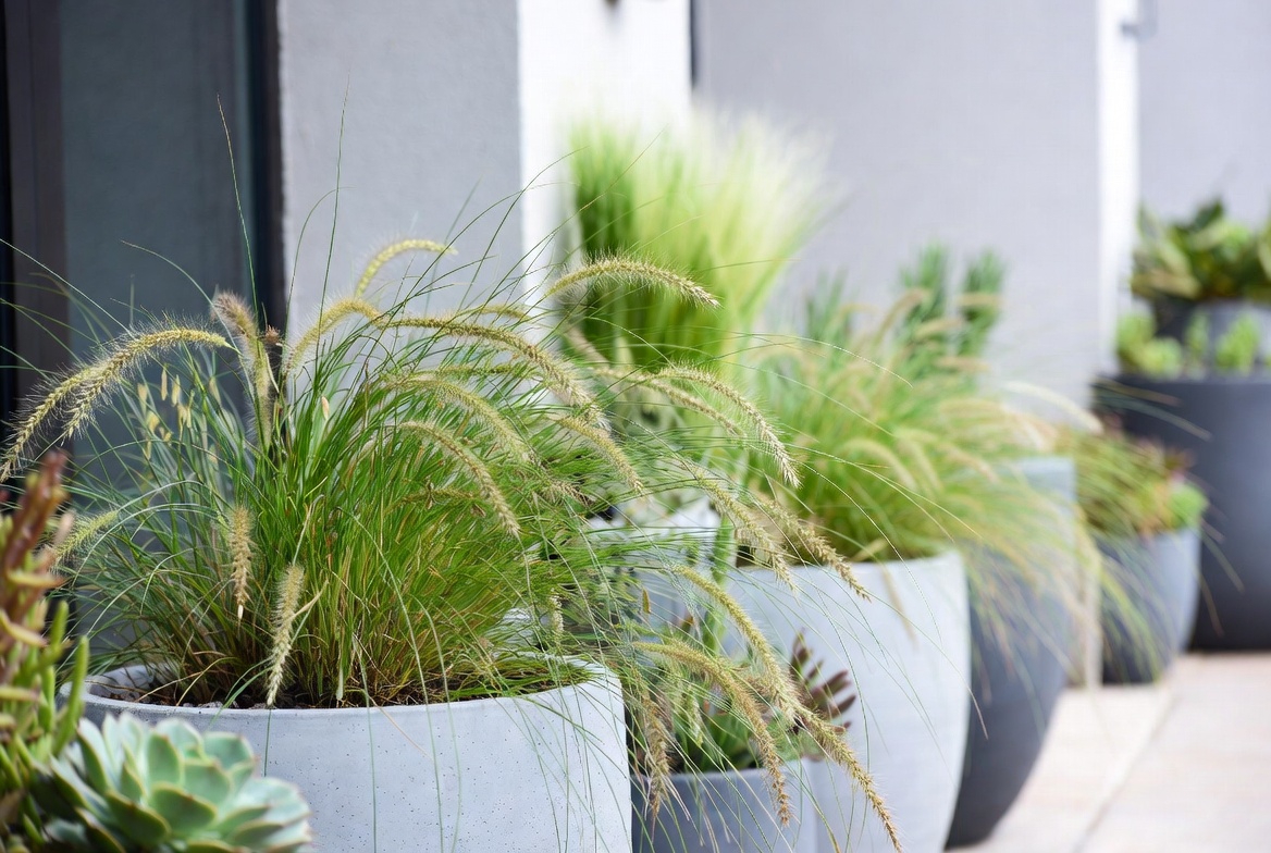 Incorporate Grasses in Containers