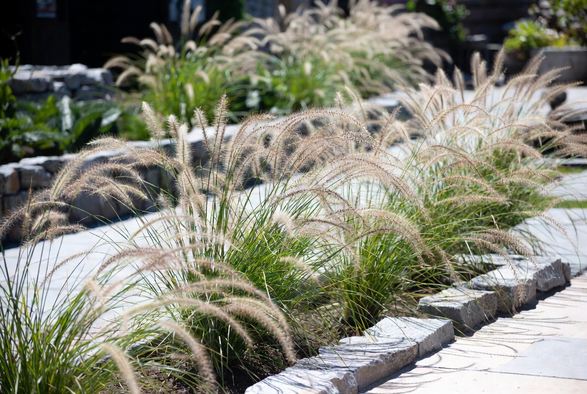 Soften Hardscaping Edges