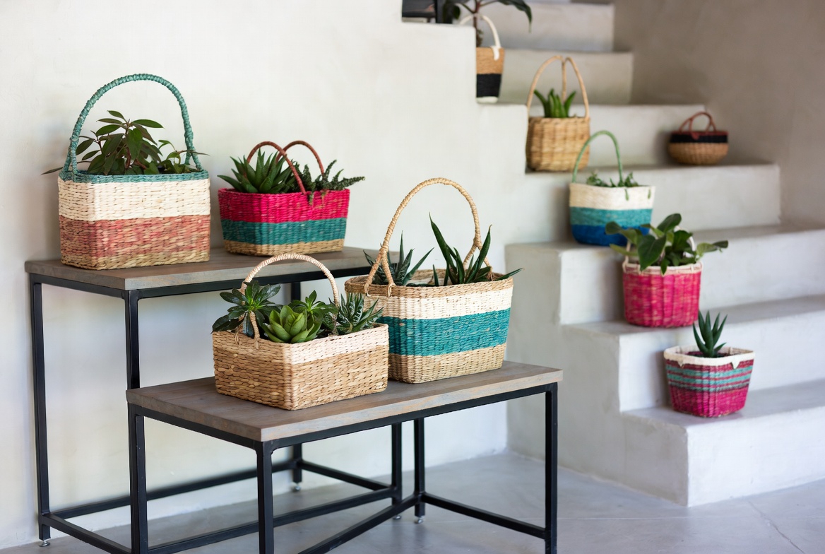 Creative Ways to Display Plants in Baskets